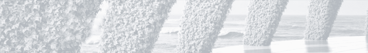 Graues schmales Bild zeigt bepflanzte Säulen und im Hintergrund das Meer